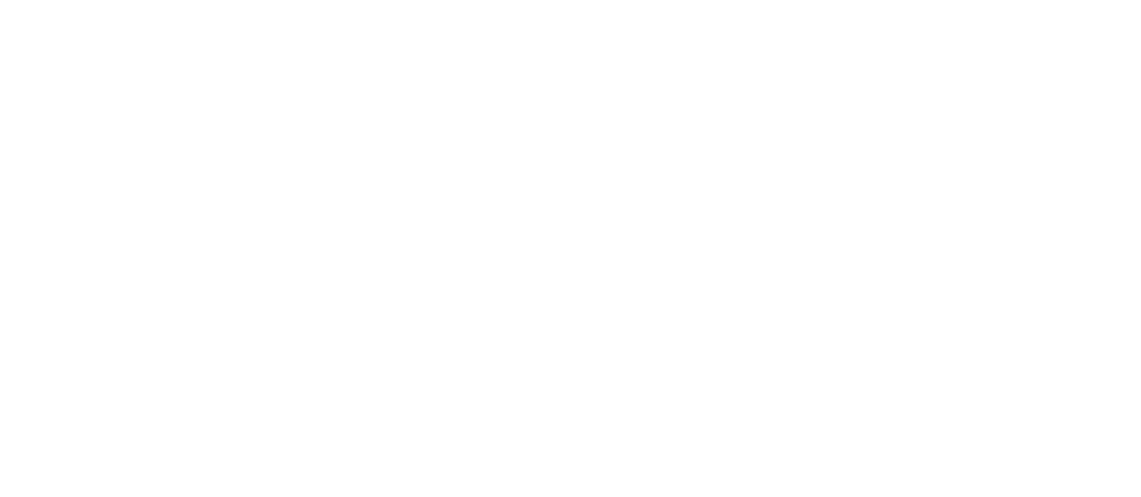 Bull Project logo